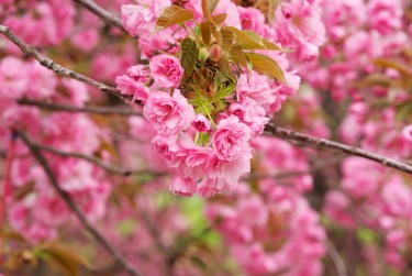 温州瓯海区线下个人借款平台一站式服务，轻松解决资金难题