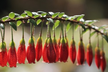温州瓯海区零用贷短借：轻松解决临时资金需求