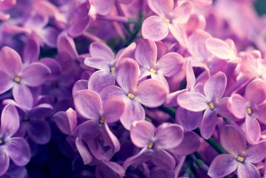 温州瓯海区企业急用钱贷款攻略：快速融资解燃眉之急